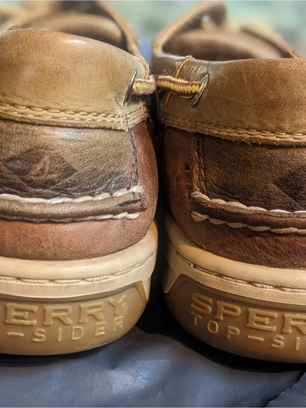 Sperry Men's Chestnut Leather Boat Shoes with Two-Tone Laces